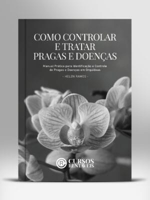 Como controlar e tratar pragas e doenças