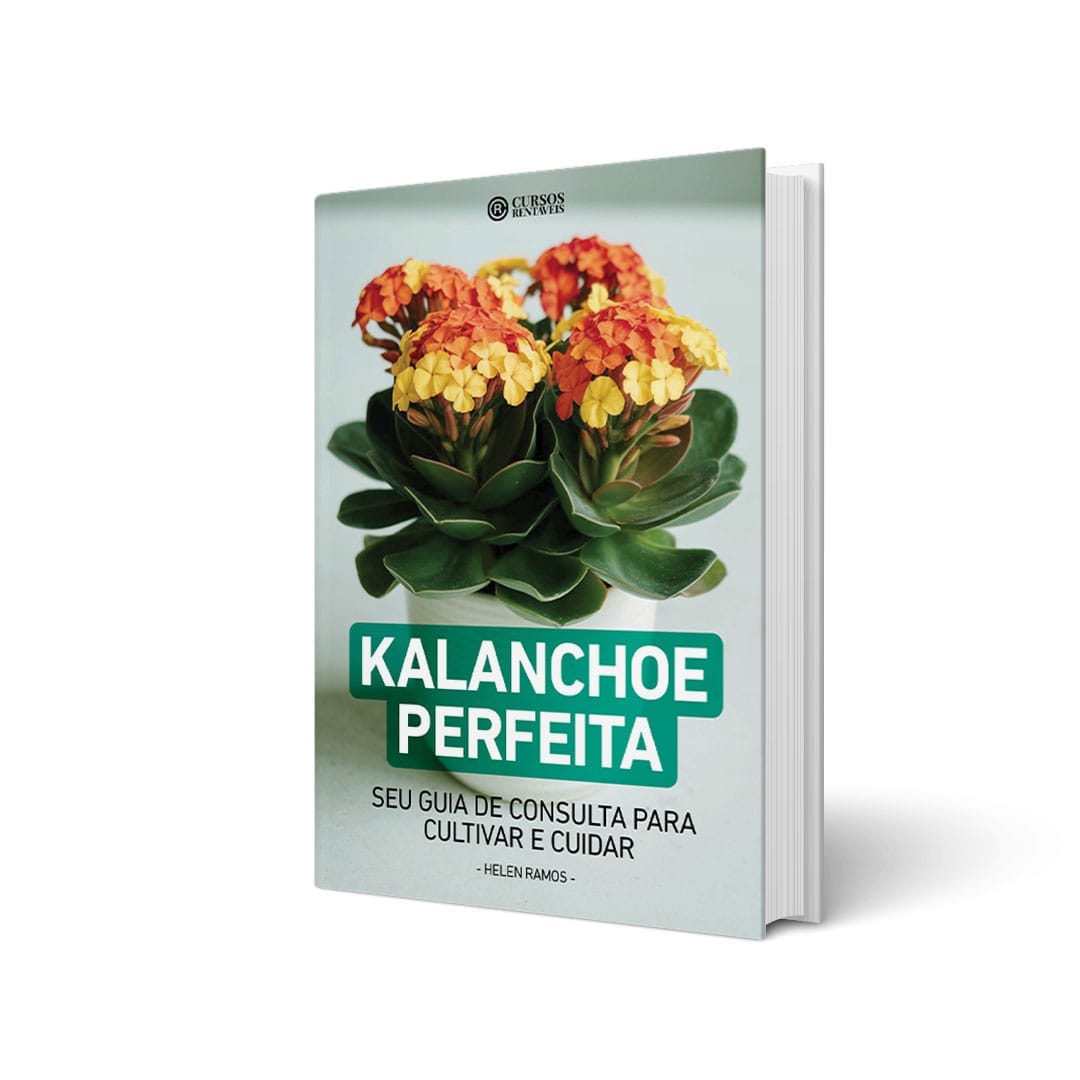 Ebook Kalanchoe Perfeita