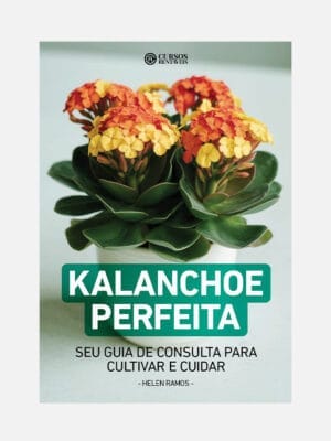 Kalanchoe perfeita capa do ebook