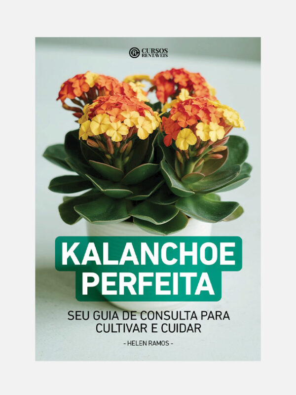 Kalanchoe perfeita capa do ebook