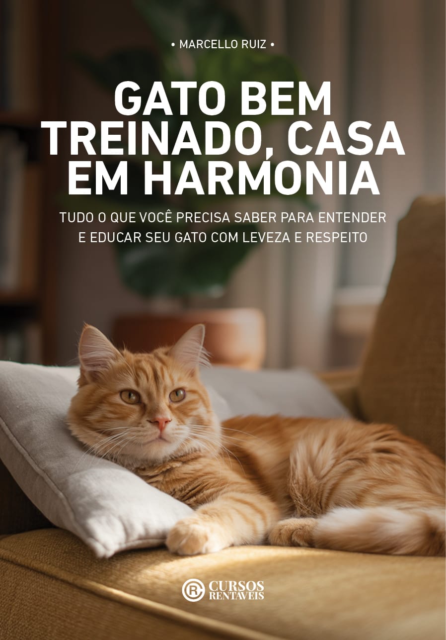 GATO BEM TREINADO CASA EM HARMONIA