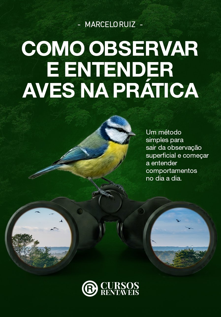 aves do brasil